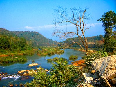 Winding River Download Jigsaw Puzzle