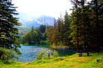Grüner See, Austria Download Jigsaw Puzzle