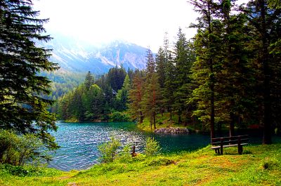 Grüner See, Austria Download Jigsaw Puzzle