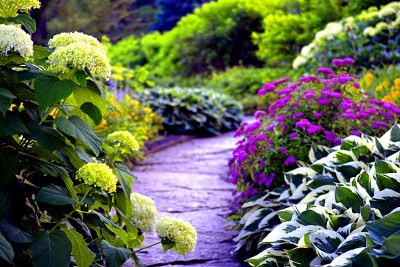 Flowers Download Jigsaw Puzzle