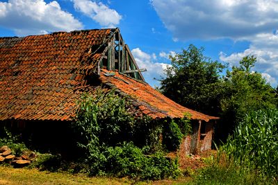 Weathered Barn Download Jigsaw Puzzle