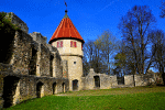 Medieval Tower Download Jigsaw Puzzle