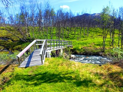 Footbridge Download Jigsaw Puzzle