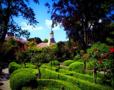 Lush Garden Download Jigsaw Puzzle
