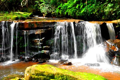 Cascading Woodland Waterfall Download Jigsaw Puzzle