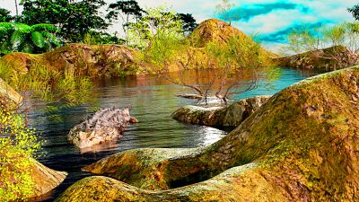 Crocodile Lagoon Download Jigsaw Puzzle