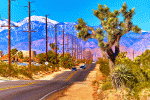 High Desert Road, Southern California Download Jigsaw Puzzle