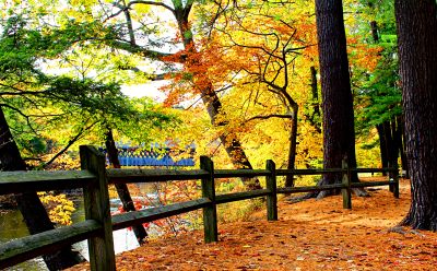 Fence Download Jigsaw Puzzle