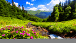 Flowers Download Jigsaw Puzzle