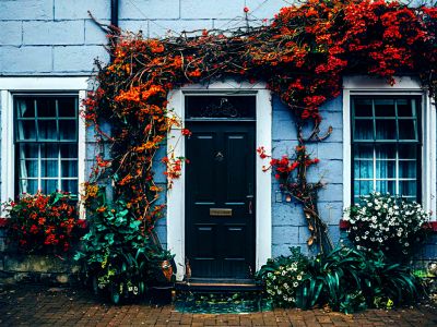 Flowers Download Jigsaw Puzzle