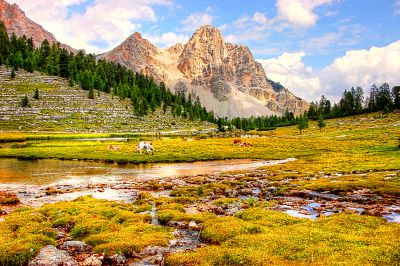 Alpine Meadow Download Jigsaw Puzzle