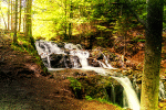 Cascading Forest Waterfall Download Jigsaw Puzzle