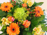 Flowers Download Jigsaw Puzzle