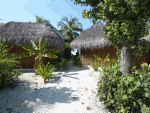 Desert Island Download Jigsaw Puzzle