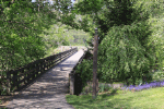 Bridge Download Jigsaw Puzzle