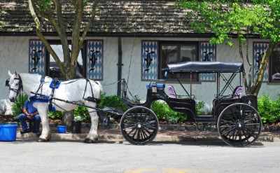 Horse And Buggy Download Jigsaw Puzzle