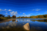 Autumn Pond Download Jigsaw Puzzle