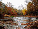 Autumn River Download Jigsaw Puzzle