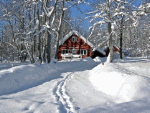 Winter Snow Download Jigsaw Puzzle