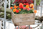 Flower Basket Download Jigsaw Puzzle