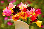 Flowers Download Jigsaw Puzzle