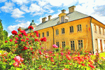 Flowers Download Jigsaw Puzzle