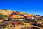 BNSF Railway Dash 9-44CW